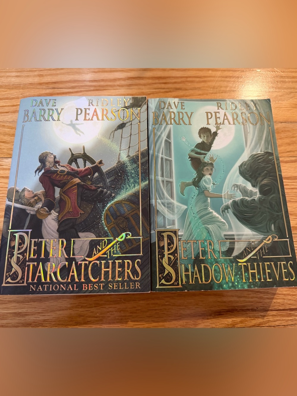 Peter and the Shadow Thieves Paperback Novel Set by Barry Pearson